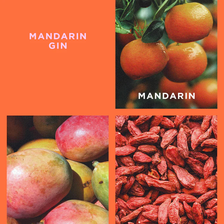Reed Diffuser Mandarin Gin