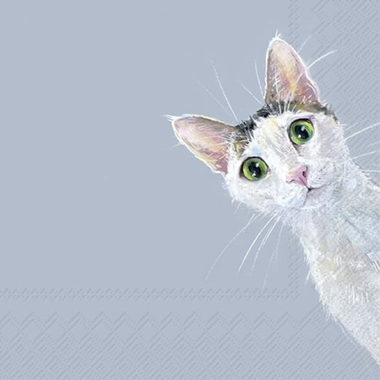 Luncheon Cat Stella Light Blue