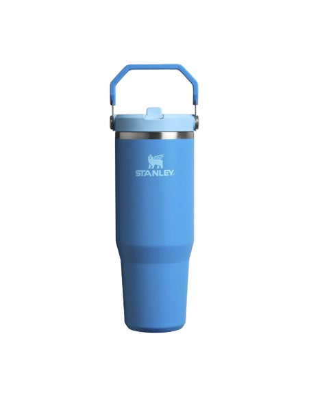 The Ice Flow Flip Straw 30oz Azure