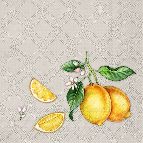 Cocktail Citrons Grey