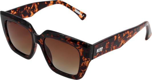 Sunnies Noode Black W Tortoiseshell