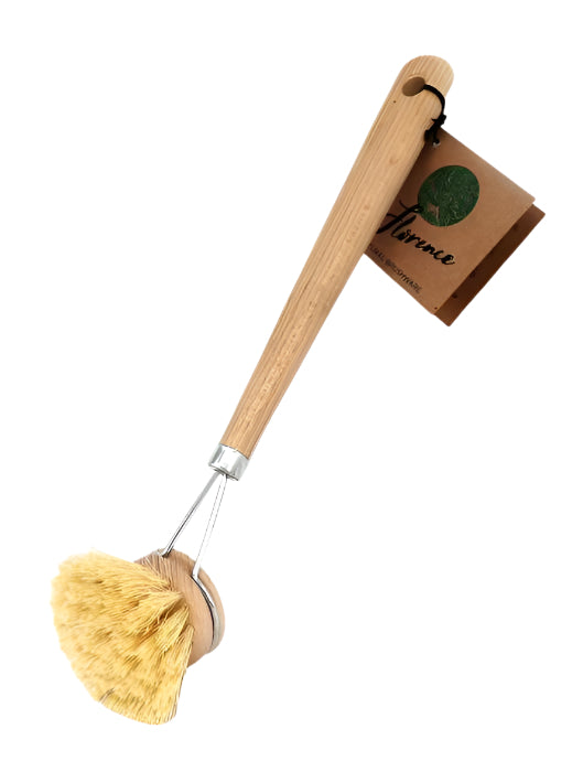 Dish Brush 50mm Tampico