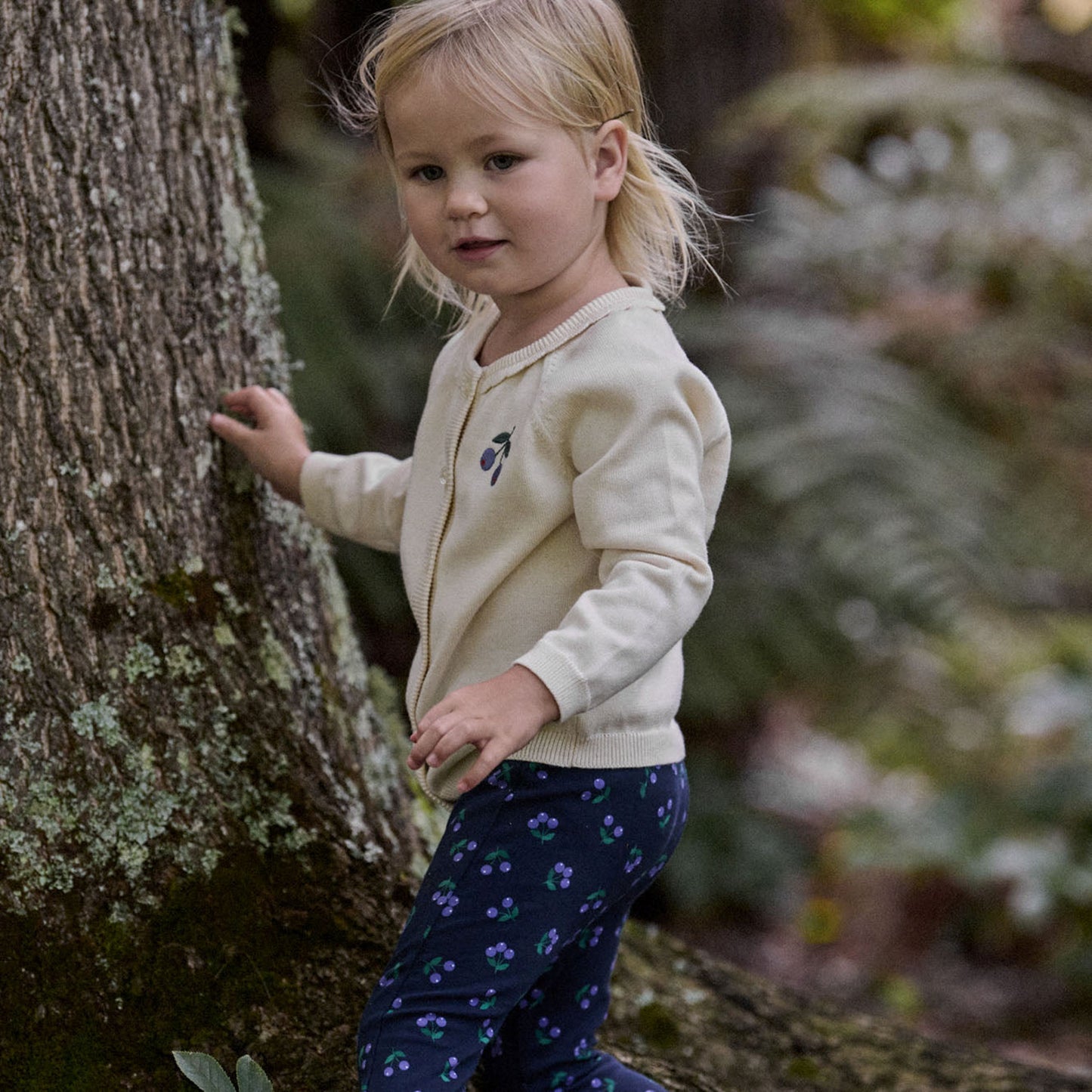 Leggings Petite Winter Berry