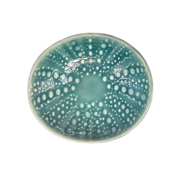 Kina Blue Bowl 10cm