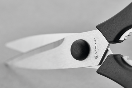 Kitchen Shears-21cm