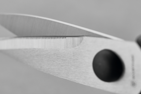 Kitchen Shears-21cm