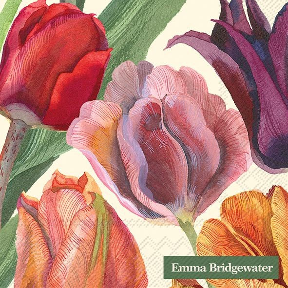 Cocktail E.B Cream Tulips