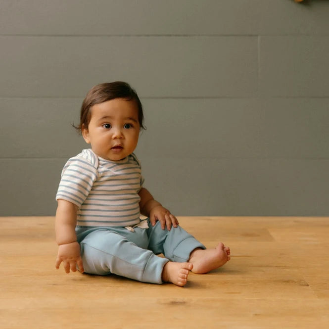 Cotton Short Sleeve Bodysuit Mineral Sailor Stripe