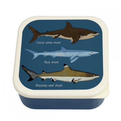 Snack Boxes, set of 3 - Sharks