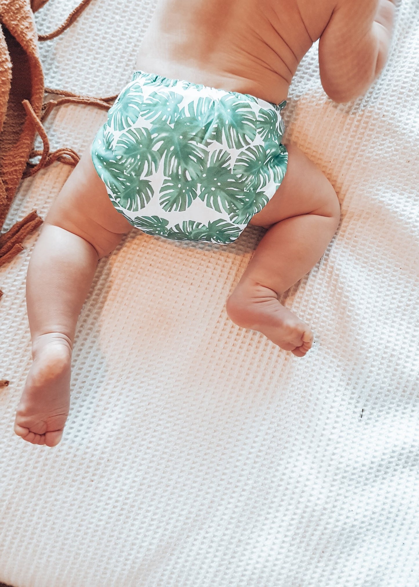 Cloth Nappy - Monstera