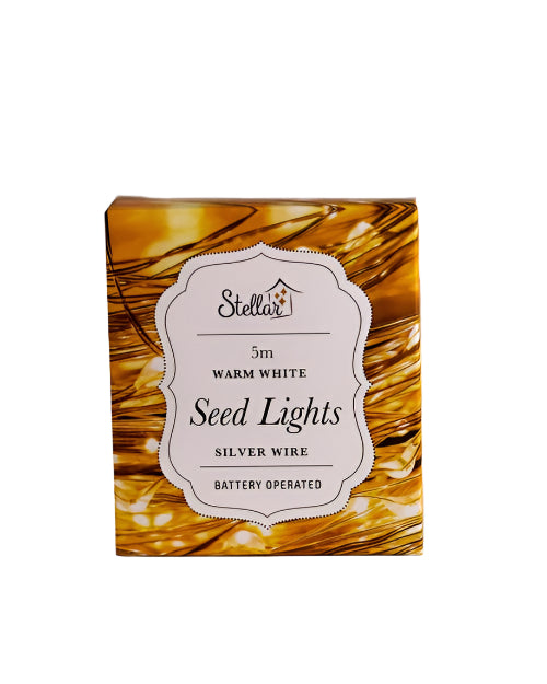 5m Silver Seed Lights AA