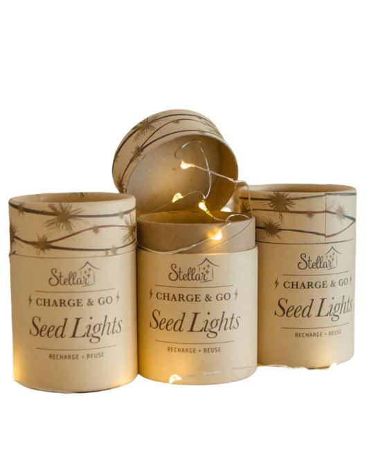 Charge & Go 3m Silver