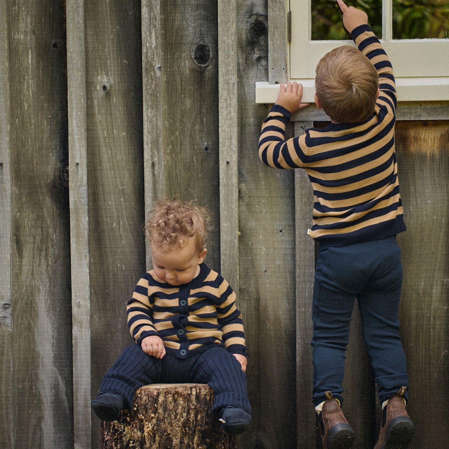Merino Knit Cardigan Navy Caramel Stripe