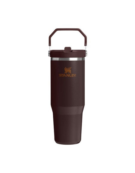 The Ice Flow Flip Straw 30oz Coffee