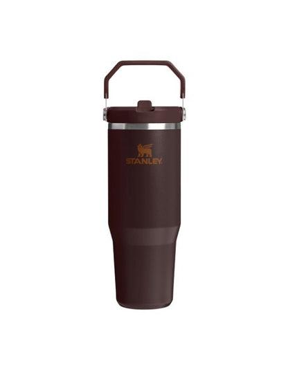 The Ice Flow Flip Straw 30oz Coffee