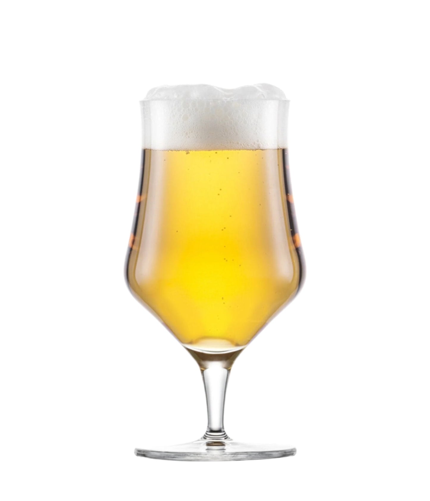 Schott Beer Basic Craft Beer