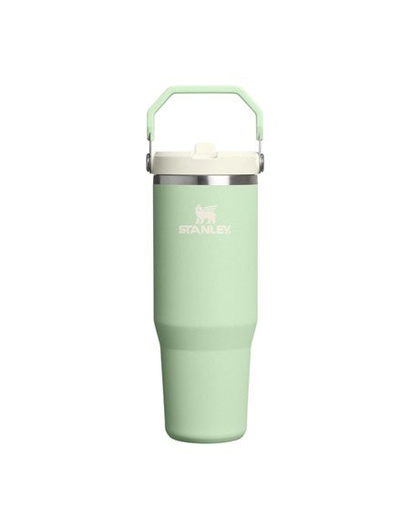 The Ice Flow Flip Straw 30oz Pistachio
