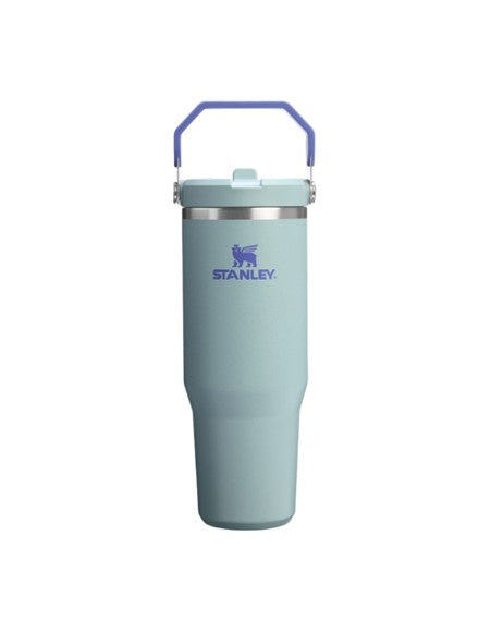 The Ice Flow Flip Straw 30oz Blue Cactus
