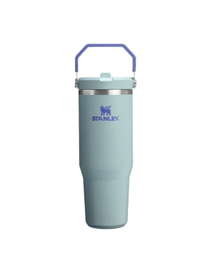 The Ice Flow Flip Straw 30oz Blue Cactus