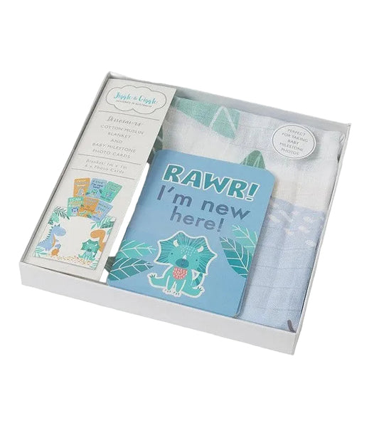 Dinosaurs Milestone Muslin Box Set