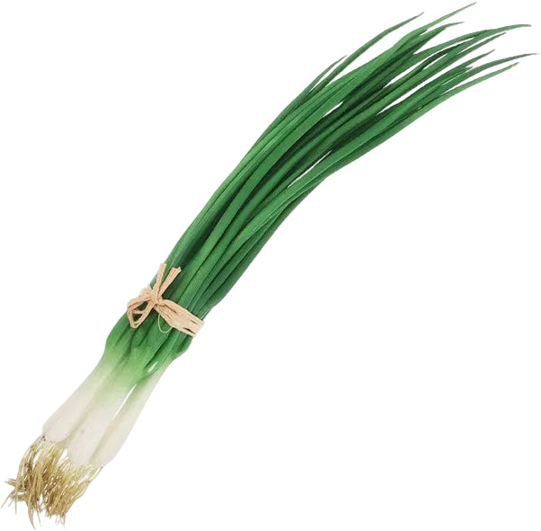 Art. Spring Onion Bunch 6
