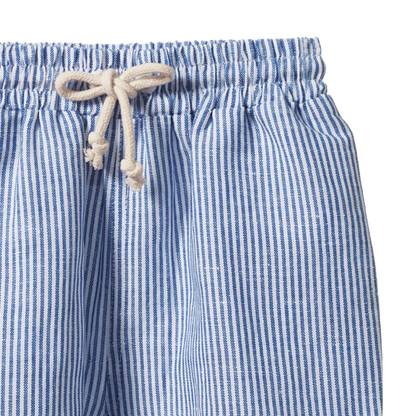 James Shorts Linen Blue Stripe