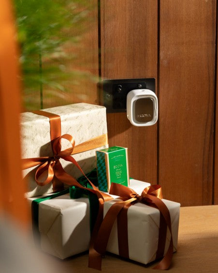 Plug In Fragrance Flask Fresh Pine