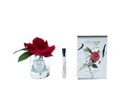 French Rose, Clear Glass, Carmine Red