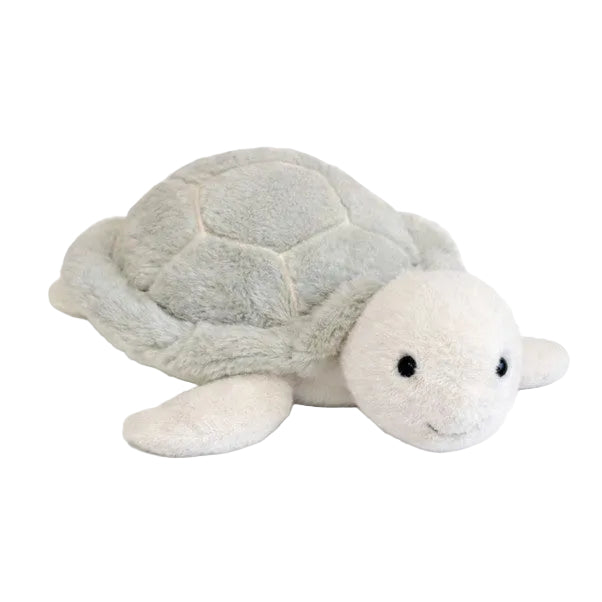 Nori the Turtle