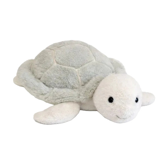 Nori the Turtle