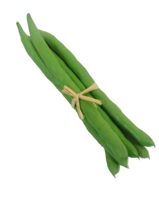 Green Bean Bundle