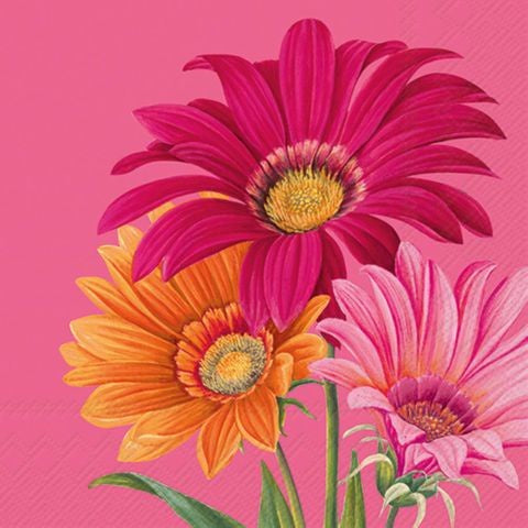 Luncheon Joyful Gerbera Pink
