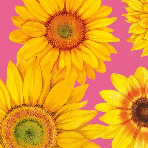 Luncheon - Joyful Sunflower Pink