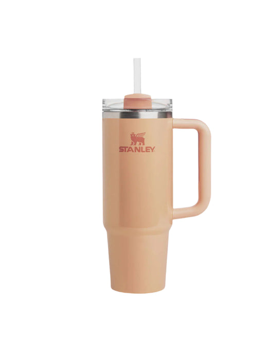 The Quencher 30oz Bellini Shimmer