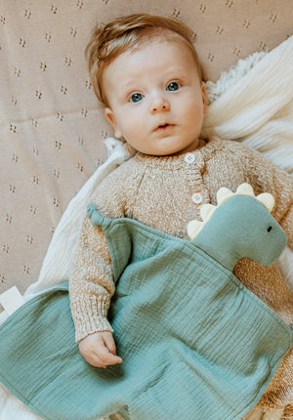 Dinosaur Lovey Organic Muslin