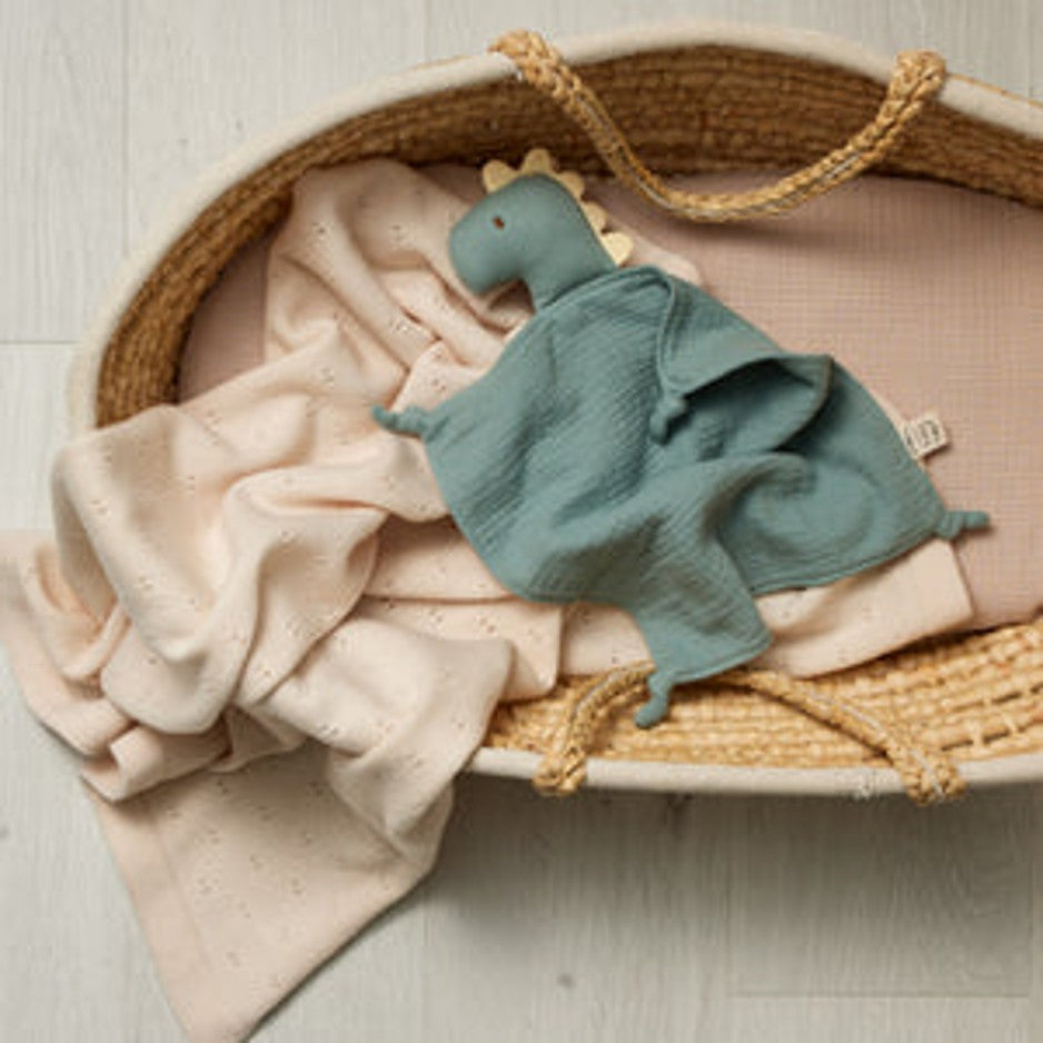 Dinosaur Lovey Organic Muslin