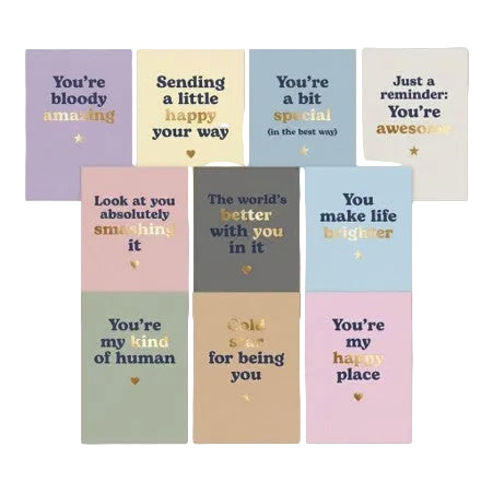 Emergency Card Stash Nice Edition