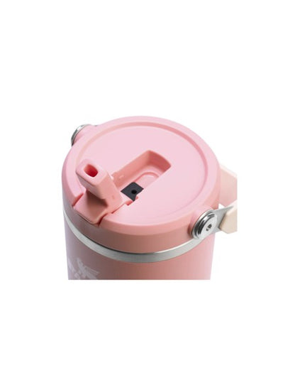The Ice Flow Flip Straw 30oz Pink Mesa
