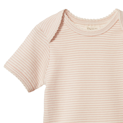 Cotton Short Sleeve Bodysuit Rose Dust Pinstripe