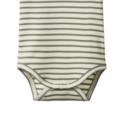 Cotton Short Sleeve Bodysuit Nettle Sailor Stripe