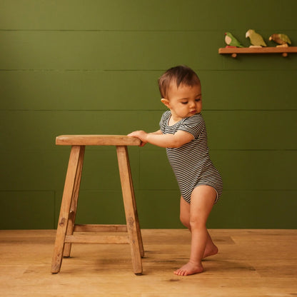 Cotton Short Sleeve Bodysuit Navy Stripe