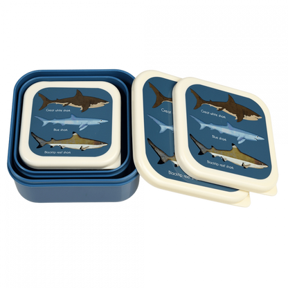 Snack Boxes, set of 3 - Sharks