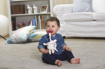 Physio Soft Soother 6-16 Months 2pk - pink