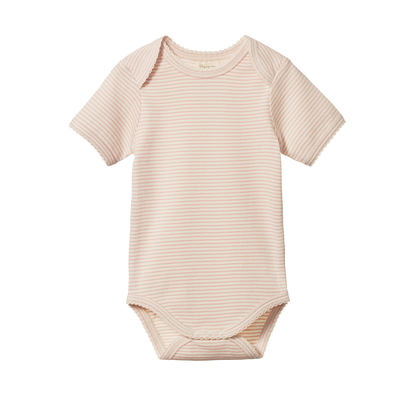 Cotton Short Sleeve Bodysuit Rose Dust Pinstripe